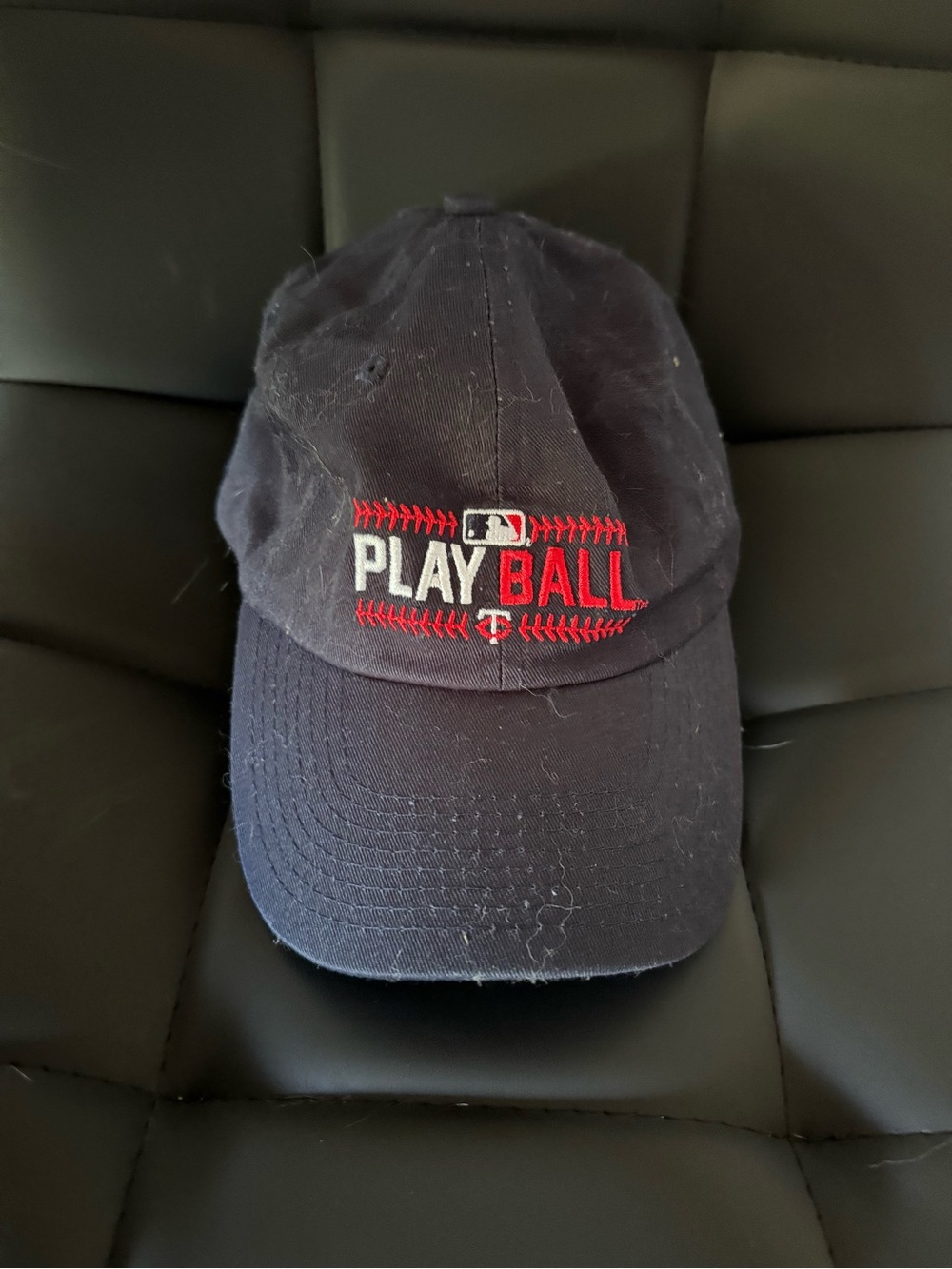MLB Youth Twins Hat